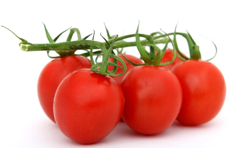 Caprese Salad